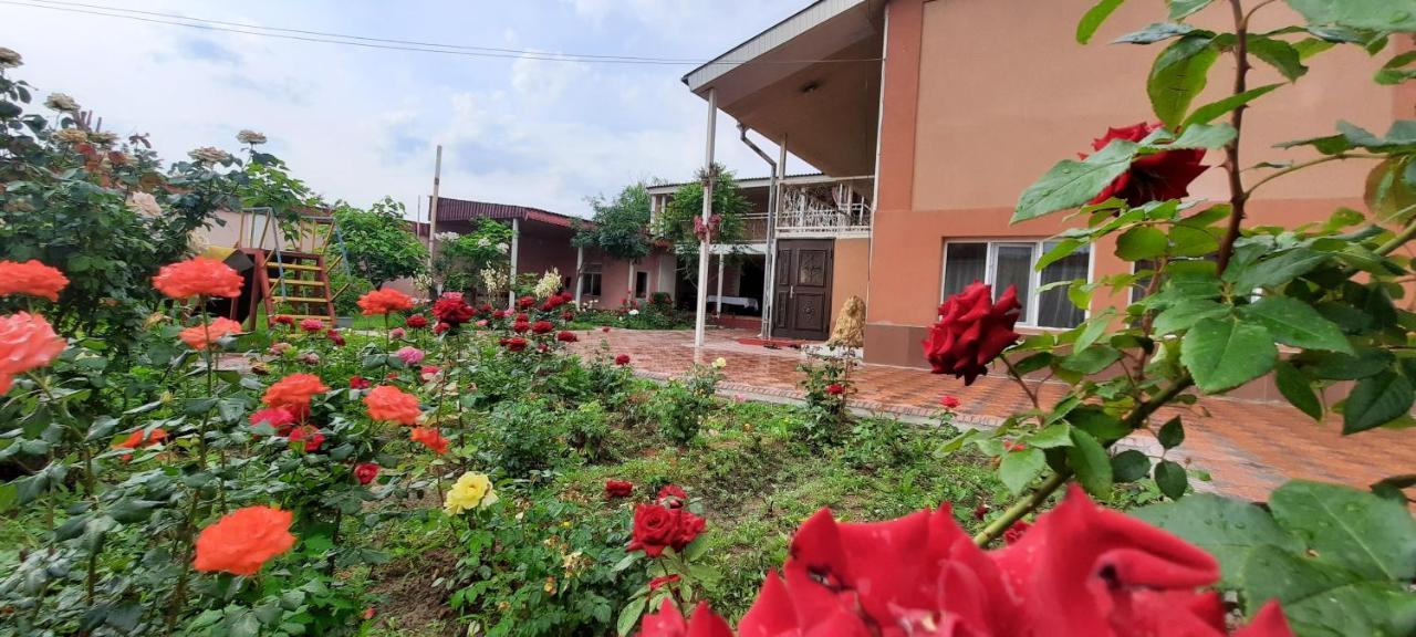 Vip Hostel Turkistan Luaran gambar